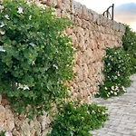 Llucasaldent Gran Menorca - Adults Only Farm stay