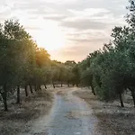 Llucasaldent Gran Menorca - Adults Only *