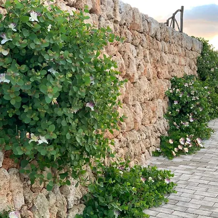 Llucasaldent Gran Menorca - Adults Only Farm stay
