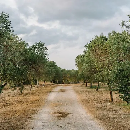 Llucasaldent Gran Menorca - Adults Only Farm stay