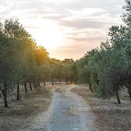 Llucasaldent Gran Menorca - Adults Only