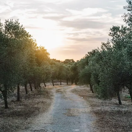 Gospodarstwo agroturystyczne Llucasaldent Gran Menorca - Adults Only *