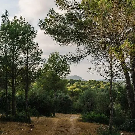 Llucasaldent Gran Menorca - Adults Only